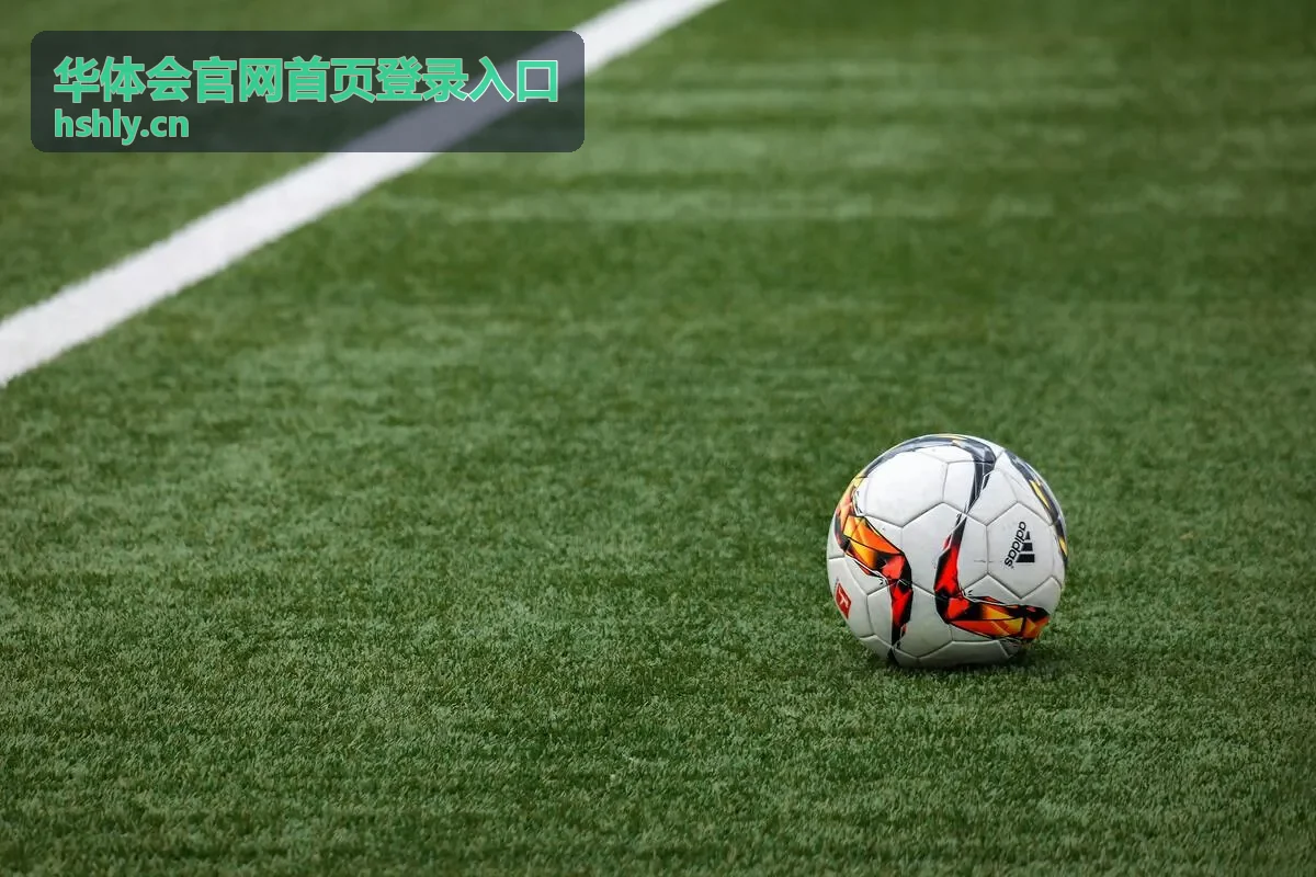 华体会官网首页登录入口手机端页面示意