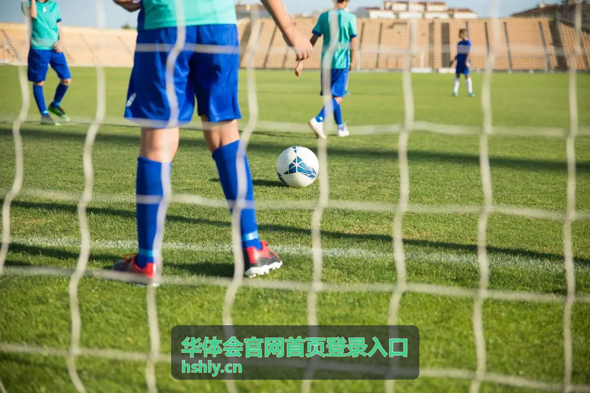 华体会官网首页登录入口的登录操作步骤示意